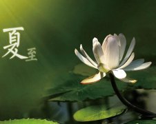 夏至節(jié)氣，廣西強壽藥業(yè)集團提醒您注意防暑降溫